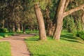 Trees in the city Park in the summer day path for Jogging and sports in the summer Park ride a bike. Sunny landscape Royalty Free Stock Photo