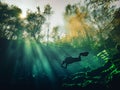 Local scuba diver swims through the clear aqua waters of tree-ringed Troy Springs State Park, Florida Royalty Free Stock Photo