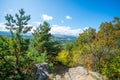 Trees on a cliff in the mountains, view from the Resort Park to the city of Kislovodsk