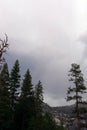 Trees Clinging to the Rocky Southern Slope of Halfdome