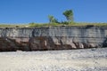 Trees at coastal cliff with clear blue sky Royalty Free Stock Photo