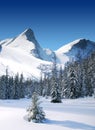 Trees coated with snow and high snowy mountains