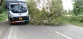 Trees collapsed on road after storm in India`s Bisharsharif.