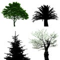 Trees - collection