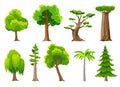 Trees collection. Eco concept of nature plant. Vector flat green forest tree icons. Willow, oak, acacia, baobab, pine Royalty Free Stock Photo