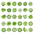 Trees collection. Map top view plants park garden set recent vector illustration set Royalty Free Stock Photo