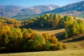 trees in colorful foliage on the hills Royalty Free Stock Photo