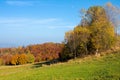 Trees in colorful foliage on the hills. rolling countryside scenery in autumnal season Royalty Free Stock Photo