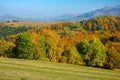 Trees in colorful foliage on the hills. rolling countryside scenery in autumnal season Royalty Free Stock Photo