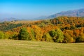 Trees in colorful foliage on the hills Royalty Free Stock Photo