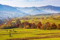 Trees in colorful foliage on the rural fields Royalty Free Stock Photo