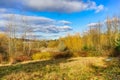 Trees Colors Juanita Bay Park Kirkland Washiington Royalty Free Stock Photo