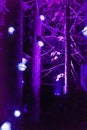 Vallea Lumina, the sound and light forest adventure in Whistler, BC Royalty Free Stock Photo