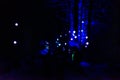 Vallea Lumina, the sound and light forest adventure in Whistler, BC Royalty Free Stock Photo