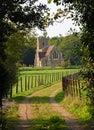 Trees Country lane and petty church of St Deny`s Church, Little Barford, Bedfordshire