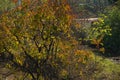 The autaum landscape Of mountaint village in Hunan Royalty Free Stock Photo