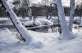 Trees covered with fresh snow against the background of a flowing river on a sunny frosty day. Spring is coming Royalty Free Stock Photo