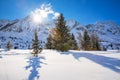 Trees covered by fresh snow in Alps. Stunning winter landscape