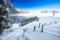 Trees covered by fresh snow in Alps. Stunning winter landscape. Royalty Free Stock Photo