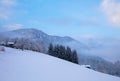 Trees covered by fresh snow in Alps. Stunning winter landscape. Royalty Free Stock Photo