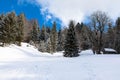 Trees covered by fresh snow in Alps. Stunning winter landscape. Royalty Free Stock Photo