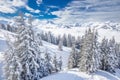 Trees covered by fresh snow in Kitzbuhel ski resort, Tyrolian Alps, Austria Royalty Free Stock Photo