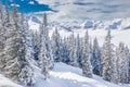 Trees covered by fresh snow in Kitzbuhel ski resort, Tyrolian Alps, Austria Royalty Free Stock Photo