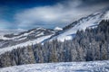 Trees covered by fresh snow in Tyrolian Alps, Kitzbuehel, Austria Royalty Free Stock Photo