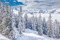 Trees covered by fresh snow in Tyrolian Alps, Kitzbuhel, Austria Royalty Free Stock Photo