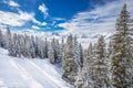 Trees covered by fresh snow in Tyrolian Alps from Kitzbuhel ski resort, Austria Royalty Free Stock Photo