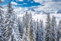 Trees covered by fresh snow in Tyrolian Alps from Kitzbuhel ski resort, Austria Royalty Free Stock Photo