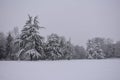 Trees covered by fresh white snow in Pump Room Gardens, center Leamington Spa, UK - winter landscape, december 2017