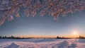 Trees are covered with frost in the forest at sunset. Frost in the woods on Christmas Eve, generated AI Royalty Free Stock Photo