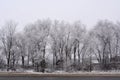Trees covered by hoarfrost grow along the road. Winter countryside view Royalty Free Stock Photo