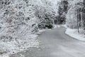 Trees covered with hoarfrost rime ice along the curvy road Royalty Free Stock Photo