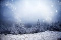 Trees covered with hoarfrost and snow in winter mountains - Chri Royalty Free Stock Photo