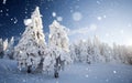 Trees covered with hoarfrost and snow in winter mountains - Chri Royalty Free Stock Photo