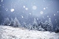 Trees covered with hoarfrost and snow in winter mountains - Chri Royalty Free Stock Photo