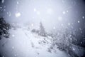 Trees covered with hoarfrost and snow in winter mountains - Chri Royalty Free Stock Photo