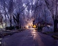 Trees Covered in Ice Along a Neighborhood Street at Night
