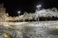 Trees covered with snow, dark sky and shining lantern. Night shot. Snowfall at night Royalty Free Stock Photo