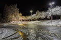 Trees covered with snow, dark sky and shining lantern. Night shot. Snowfall at night Royalty Free Stock Photo