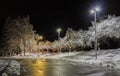 Trees covered with snow, dark sky and shining lantern. Night shot. Snowfall at night Royalty Free Stock Photo