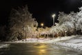 Trees covered with snow, dark sky and shining lantern. Night shot. Snowfall at night Royalty Free Stock Photo