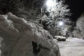 Trees covered with snow, dark sky and shining lantern through snowing. Park scene. Night shot Royalty Free Stock Photo