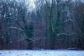 Trees covered with snow in a forest in Maksimir, Zagreb, Croatia Royalty Free Stock Photo