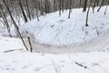 a large number of bare deciduous trees in the winter season Royalty Free Stock Photo