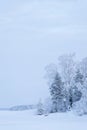 Trees covered in snow at lakeside