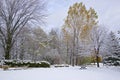 Trees covered in snow after recent snowfall in winter Royalty Free Stock Photo