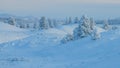 Trees Covered With Snow In Sunny Day With Clear Blue Sky Royalty Free Stock Photo